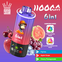 Promotional Graphic For A Bang Leader 11000 Puffs 6-In-1 Vape With Fruit Flavors And Mode Icons
