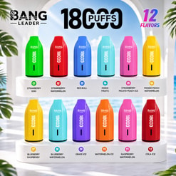 Colorful Bang Leader 18,000-Puff Vape Display Showing 12 Flavors On Two White Shelves