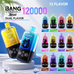 Bang Leader Stoll 12000 Dual-Flavor Vape Bottles With 12 Flavor Options Displayed In Colorful Lineup