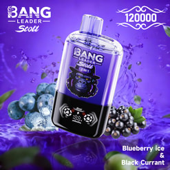 Purple Bang Leader Stoll 2-In-1 Vape With Blueberry Ice And Black Currant, Berries, And Splash Effects