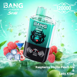 Bang Leader Stoll 2-In-1 Vape With Raspberry, Mojito, Peach Ice, And Lady Killer Flavors On A Minty Aqua Background