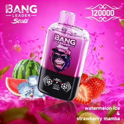 Pink Bang Leader Stoll 2-In-1 Vape Device With Fruit Flavors And A 120000 Puff Label