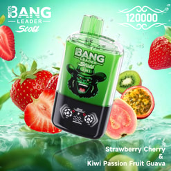 Bang Leader Stoll 2-In-1 Vape With Fruit Flavors, Shown With Strawberries, Kiwi, And Passion Fruit On A Mint-Green Background