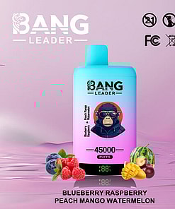 Colorful Vaping Device Branded As 'Bang Leader' In A Gradient Aqua And Pink Design, Adorned With An Image Of A Monkey In Sunglasses; Surrounded By Illustrations Of Blueberries, Raspberries, Peach Slices, Mango, And Watermelon Representing Flavored Vapor Options.