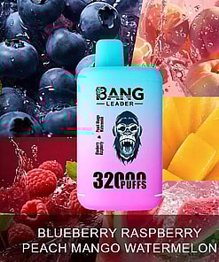 Advertisment Featuring A Multicolored Vaping Device With The Brand Name 'Bang Leader,' Surrounded By Images Of Blueberries, Peaches, Mango, Raspberries, And Watermelon, Labeled With Assorted Fruit Flavor Options And 32,000 Puffs Capacity.