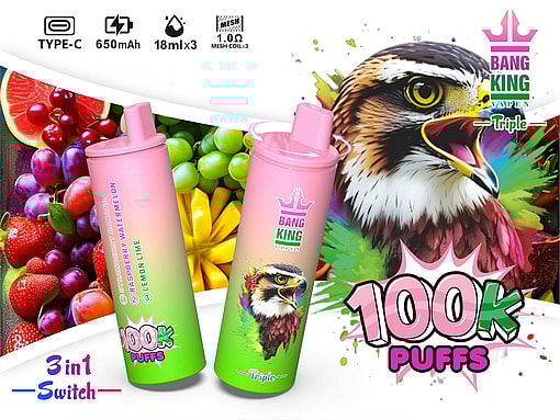Bang King Triple 100K – Cigarette électronique jetable à triple saveur avec 100 000 bouffées Meta Description – Image 5
