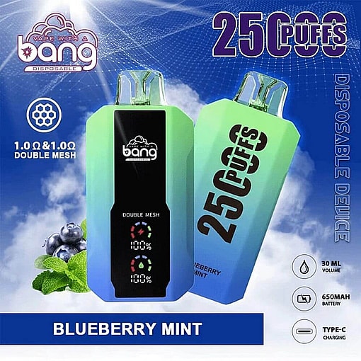 Promotional Image Showcasing A Disposable Vaping Device With A Blueberry Mint Flavor, Labeled To Provide 2500 Puffs, Featuring Double Mesh Technology, A 650Mah Battery, 30Ml Liquid Capacity, And Type-C Charging; The Design Includes Blue And Green Gradients And Branding.