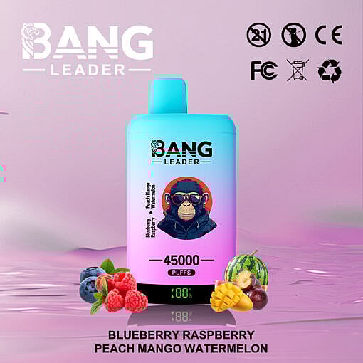 Colorful Vaping Device Branded As 'Bang Leader' In A Gradient Aqua And Pink Design, Adorned With An Image Of A Monkey In Sunglasses; Surrounded By Illustrations Of Blueberries, Raspberries, Peach Slices, Mango, And Watermelon Representing Flavored Vapor Options.