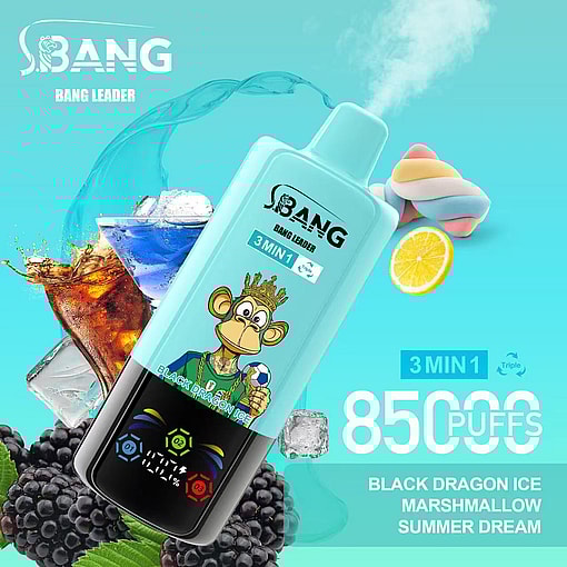 Promotional Image Of Bang Leader Vaping Device Featuring Flavors Like Black Dragon Ice, Marshmallow, And Summer Dream, With Vibrant Visuals Including Ice Cubes, Blackberries, Marshmallows, And A Lemon Slice On A Turquoise Background, Claiming 8500 Puffs Capacity.
