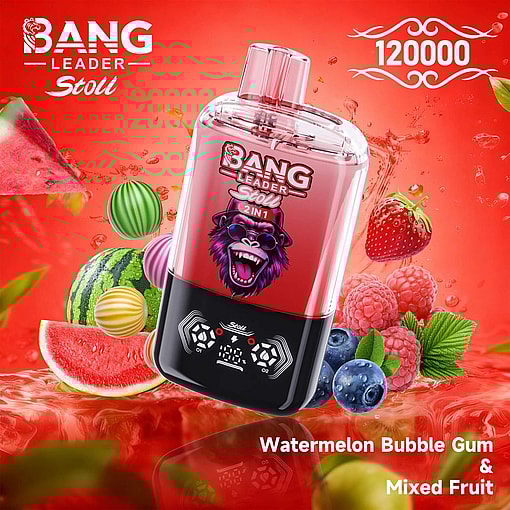 Bang Leader 120K – E-Cigarette jetable à double saveur avec 120 000 bouffées – Image 5