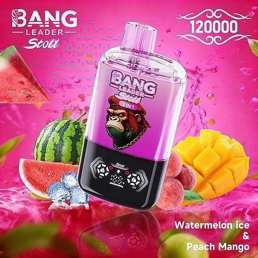Bang Leader 120K – E-Cigarette jetable à double saveur avec 120 000 bouffées – Image 7
