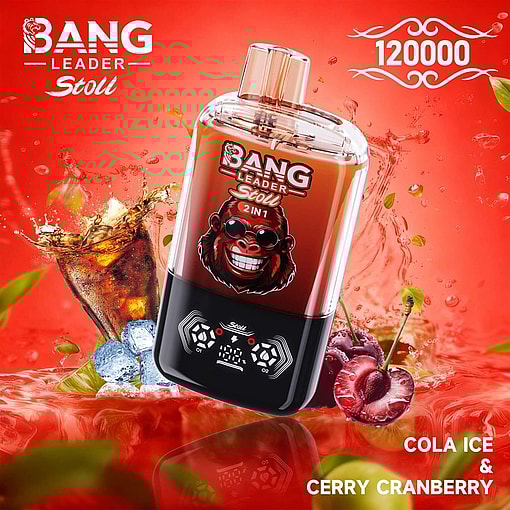 Bang Leader 120K – E-Cigarette jetable à double saveur avec 120 000 bouffées – Image 11
