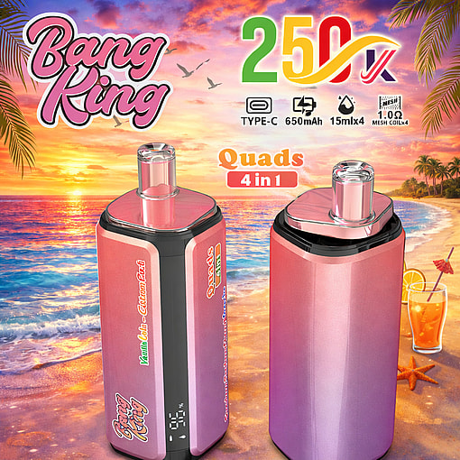 Bang King 250K Disposable Vape 250000 Puffs Rechargeable Four Flavors Device - Image 2