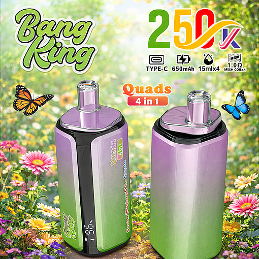 Bang King 250K Disposable Vape 250000 Puffs Rechargeable Four Flavors Device - Image 3