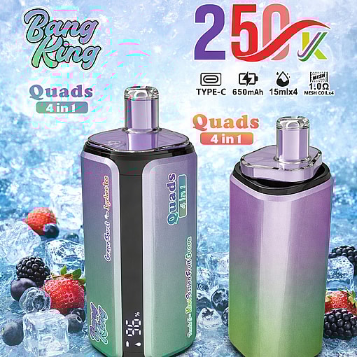 Bang King 250K Disposable Vape 250000 Puffs Rechargeable Four Flavors Device - Image 4