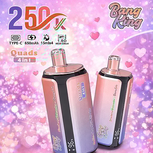 Bang King 250K Disposable Vape 250000 Puffs Rechargeable Four Flavors Device - Image 6