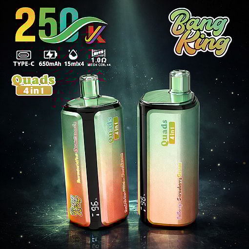Bang King 250K Disposable Vape 250000 Puffs Rechargeable Four Flavors Device - Image 8