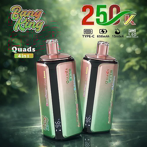 Bang King 250K Disposable Vape 250000 Puffs Rechargeable Four Flavors Device - Image 10
